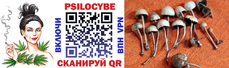 Галлюциногенные грибы GOLDEN TEACHER  Купить  Кисловодск 